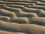 Sandrippel