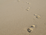 Fussspuren im Sand